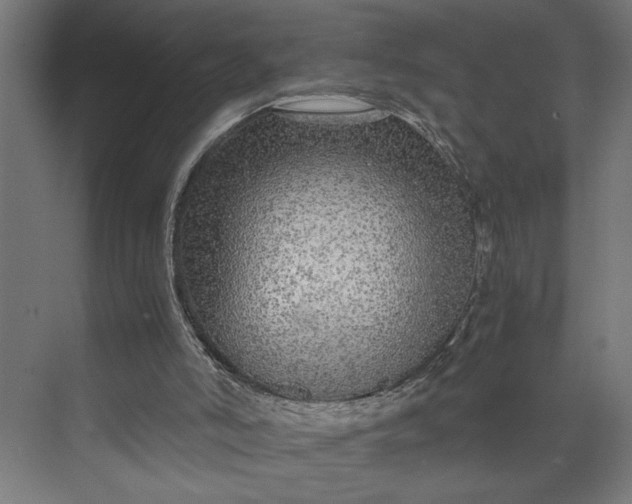 X0000073920006200608251601