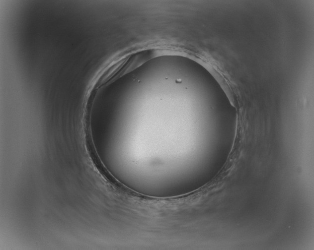 X0000073920007200608251601