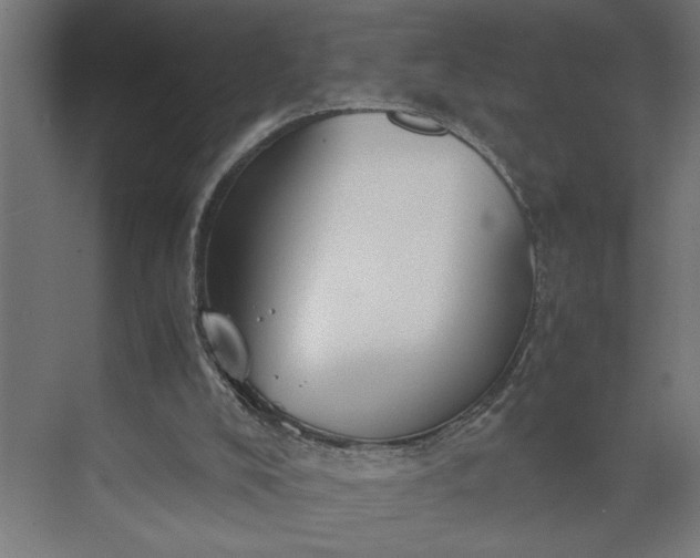 X0000073920008200608251601