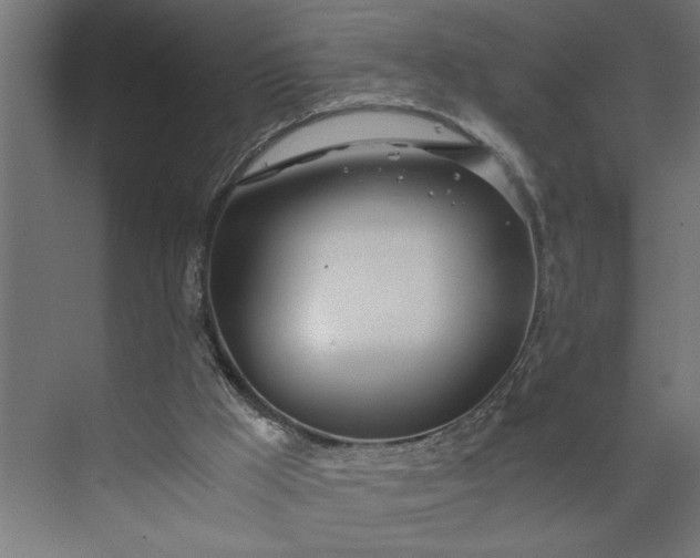 X0000073920009200608251601