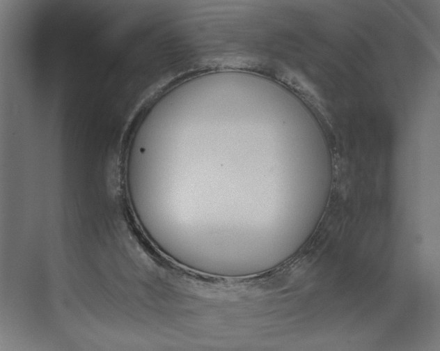 X0000073920012200608251601