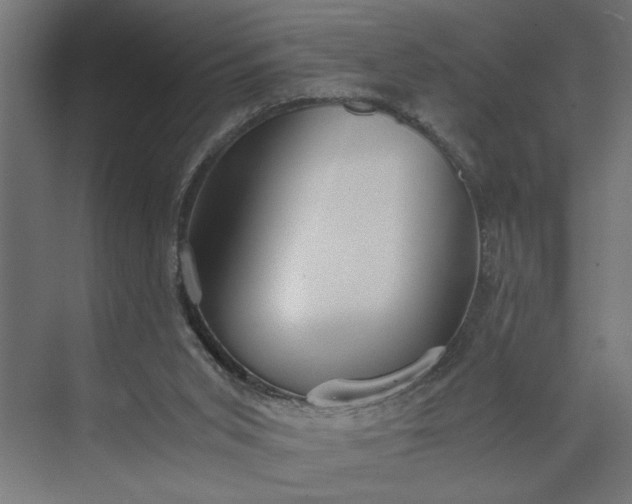 X0000073920015200608251601