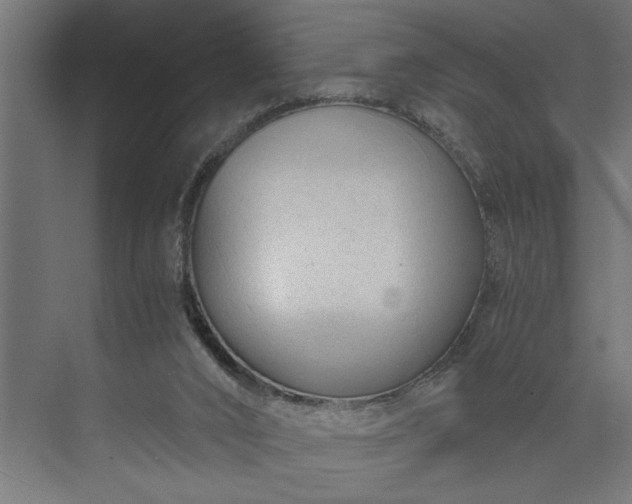 X0000073920016200608251601