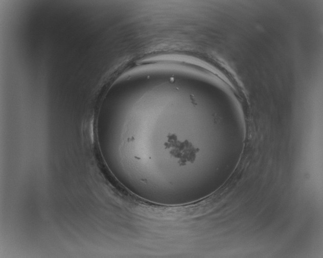 X0000073920019200608251601