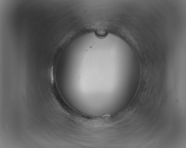 X0000073920020200608251601