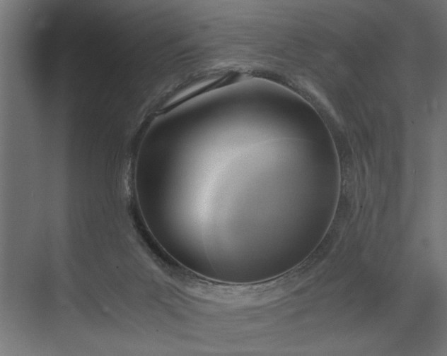 X0000073920023200608251601