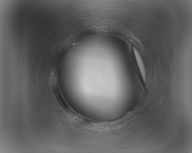 X0000073920029200608251601