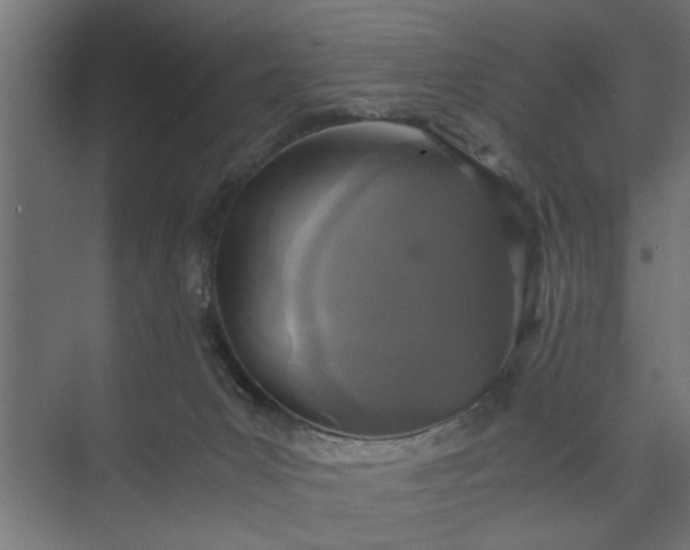 X0000073920031200608251601