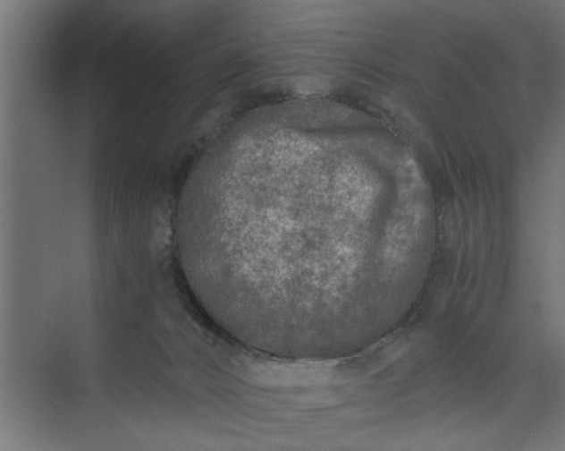 X0000073920032200608251601