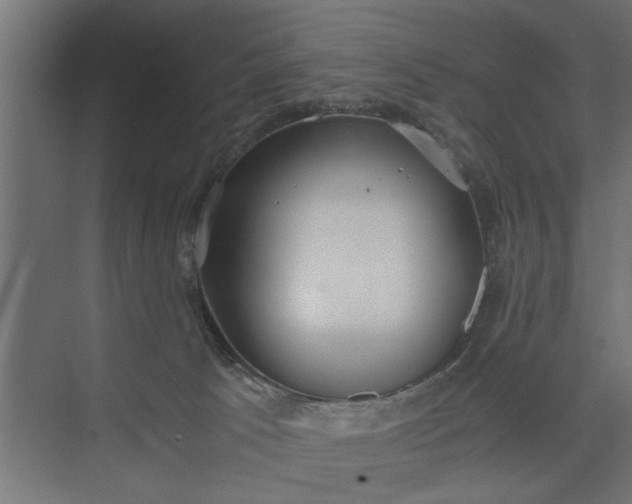 X0000073920033200608251601