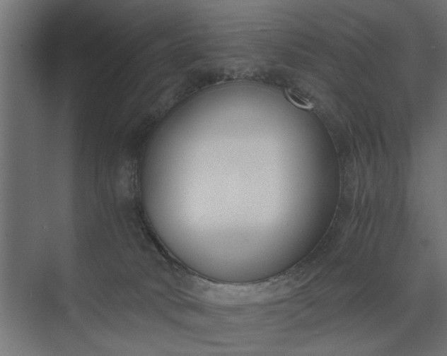 X0000073920034200608251601