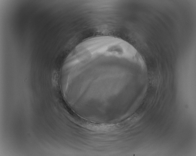 X0000073920036200608251601