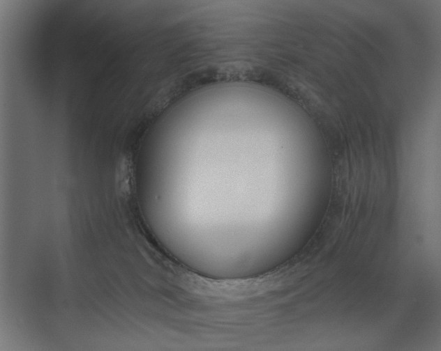 X0000073920038200608251601