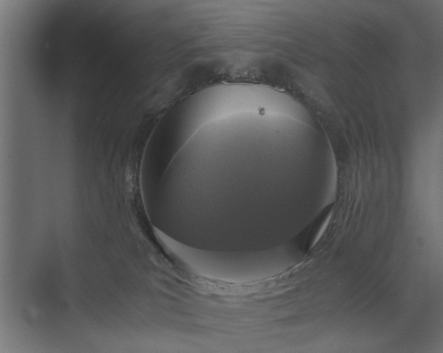 X0000073920039200608251601