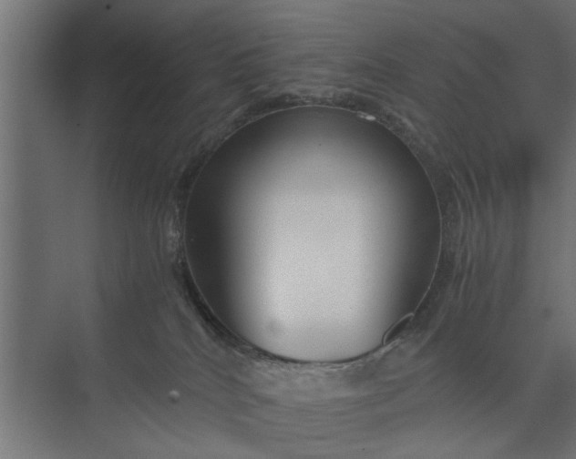 X0000073920040200608251601