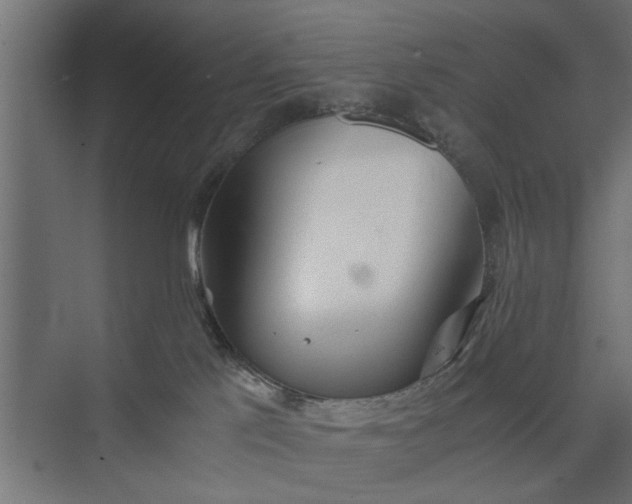 X0000073920041200608251601