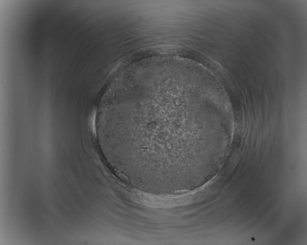 X0000073920047200608251600