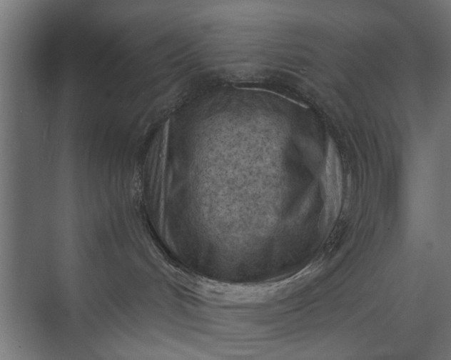 X0000073920048200608251600