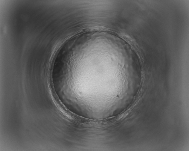 X0000073920049200608251600