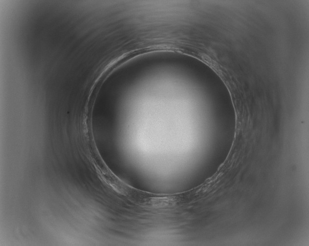 X0000073920050200608251600