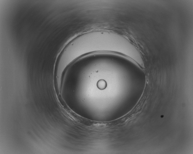 X0000073920052200608251600