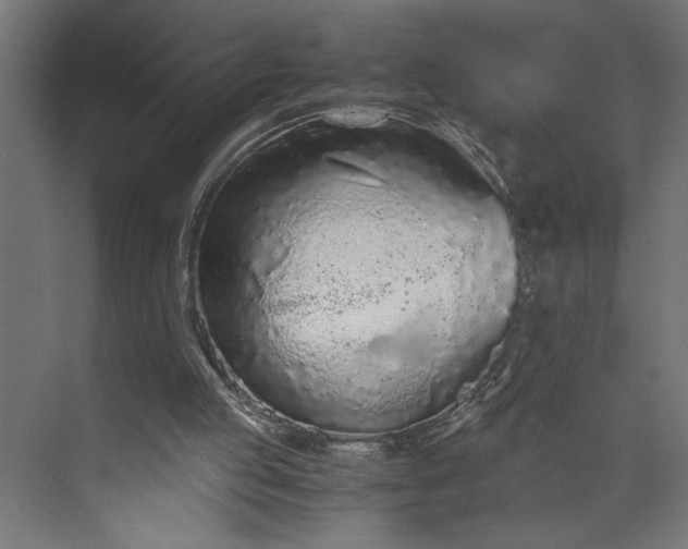 X0000073920053200608251600