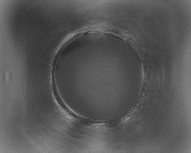 X0000073920054200608251600