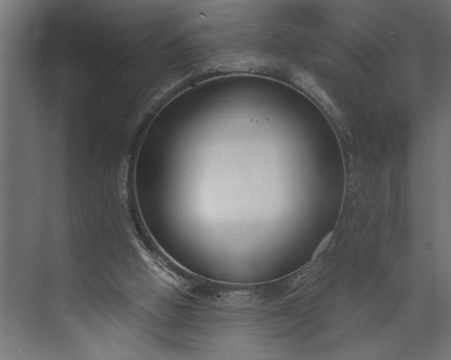 X0000073920058200608251600