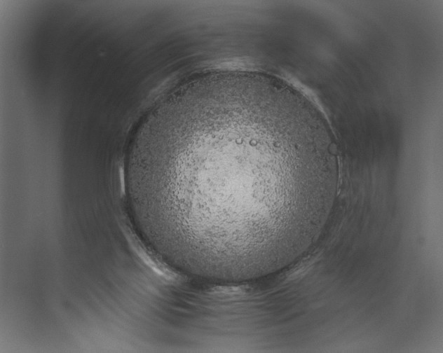 X0000073920061200608251600