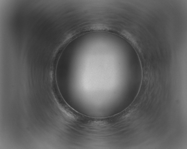 X0000073920063200608251600