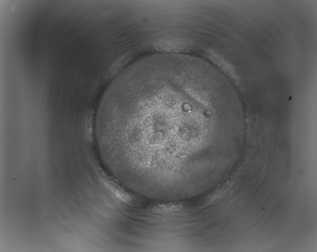 X0000073920065200608251600