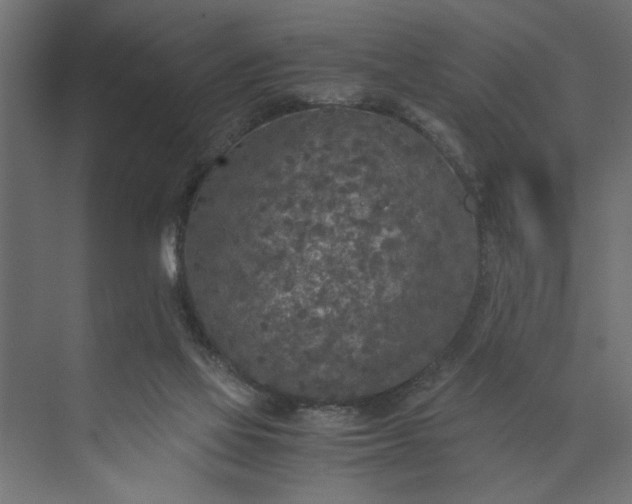 X0000073920069200608251600