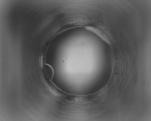 X0000073920070200608251600