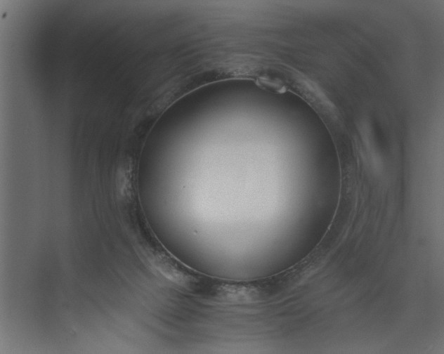 X0000073920073200608251600