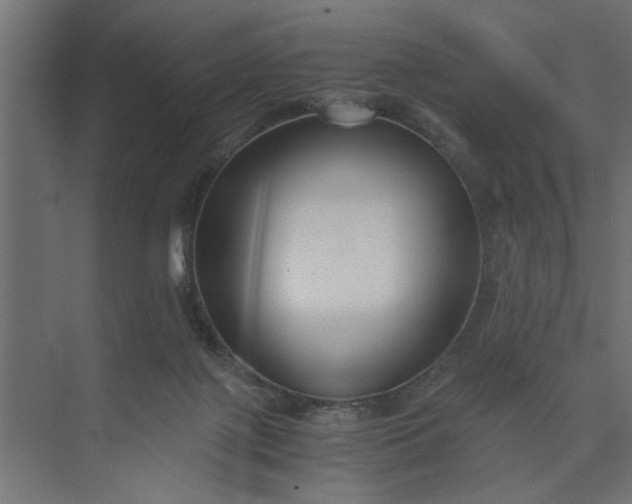 X0000073920075200608251600