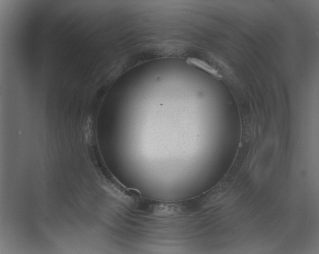 X0000073920077200608251600