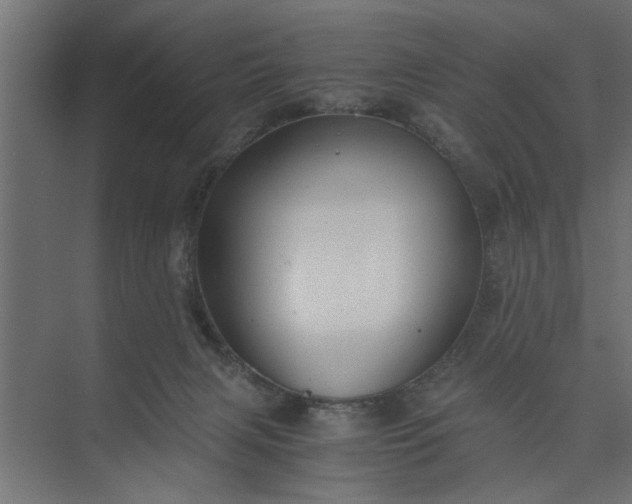 X0000073920079200608251600