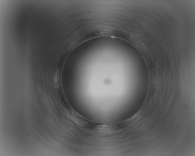 X0000073920082200608251600