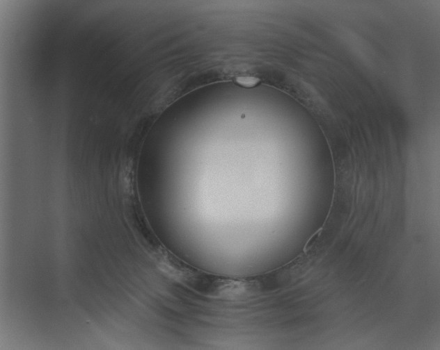 X0000073920083200608251600