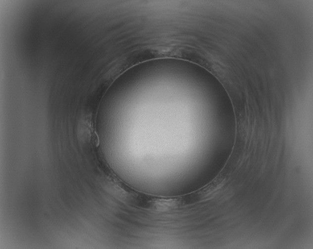 X0000073920085200608251600