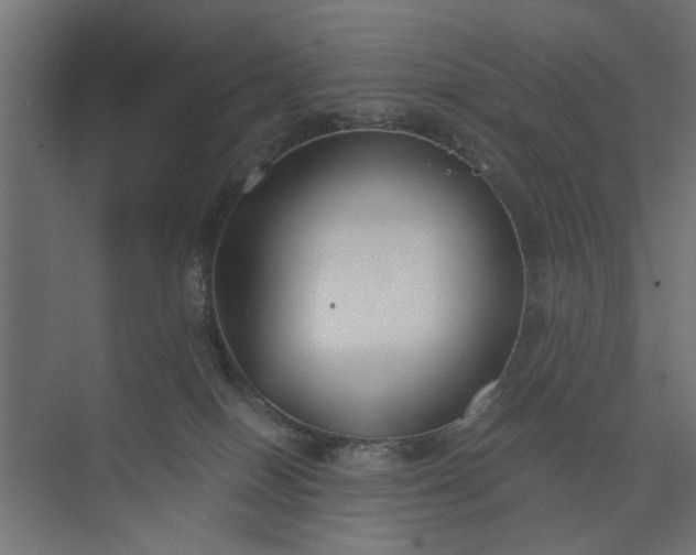 X0000073920086200608251600