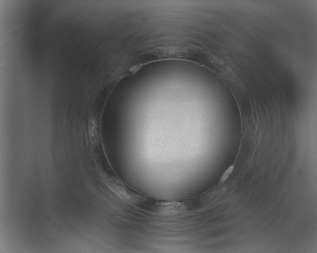 X0000073920087200608251600