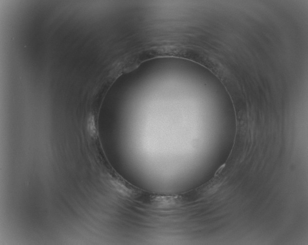 X0000073920089200608251600