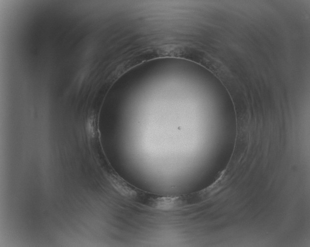 X0000073920090200608251600