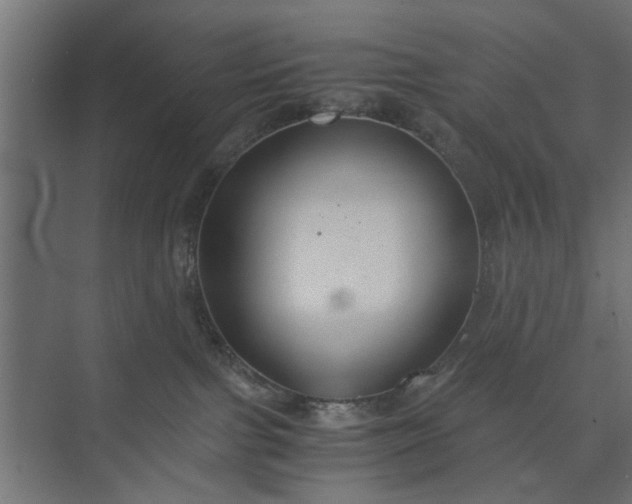 X0000073920091200608251600