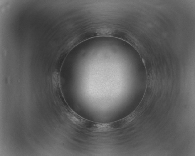 X0000073920093200608251600