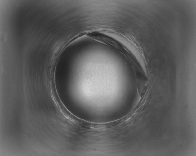 X0000073920097200608251600