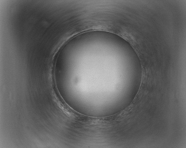 X0000073920098200608251600