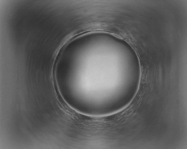 X0000073920099200608251600