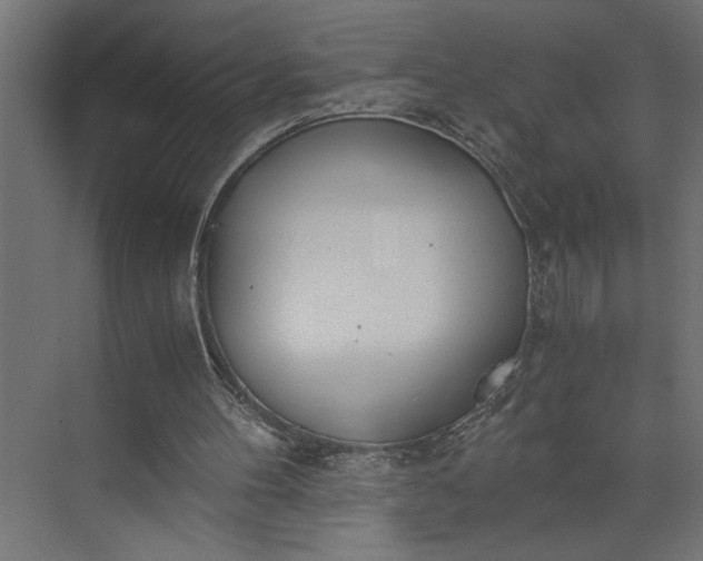 X0000073920100200608251600